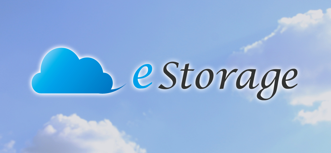 NJS e-Storage